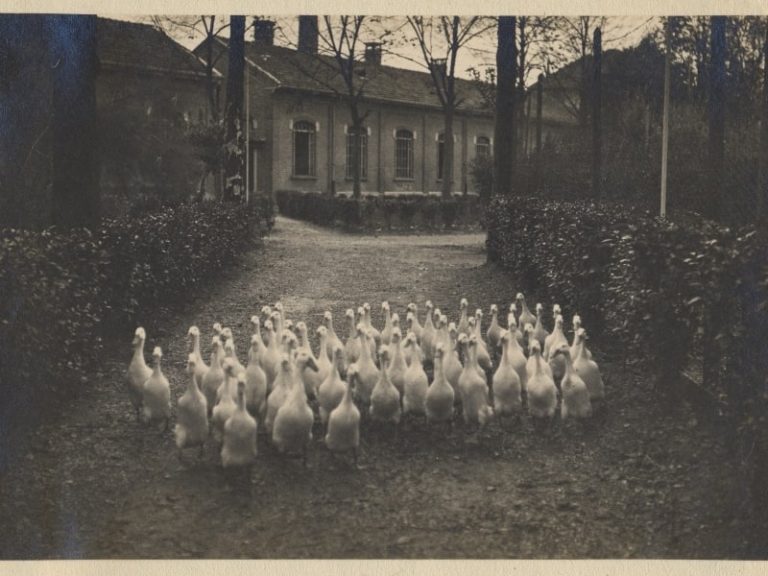 Visite all’Archivio fotografico dell’ASP Golgi-Redaelli