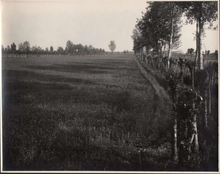 Visite all’Archivio fotografico