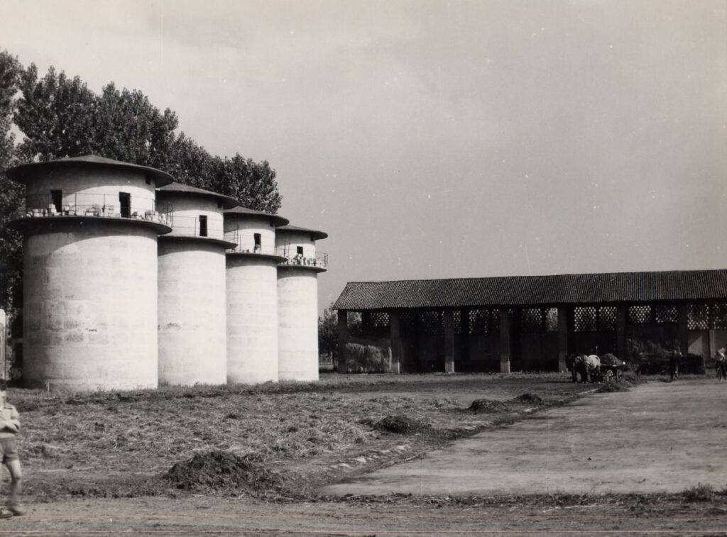 Badile, Silos, aia e portici (foto di Carlo Ciocca, 1953)