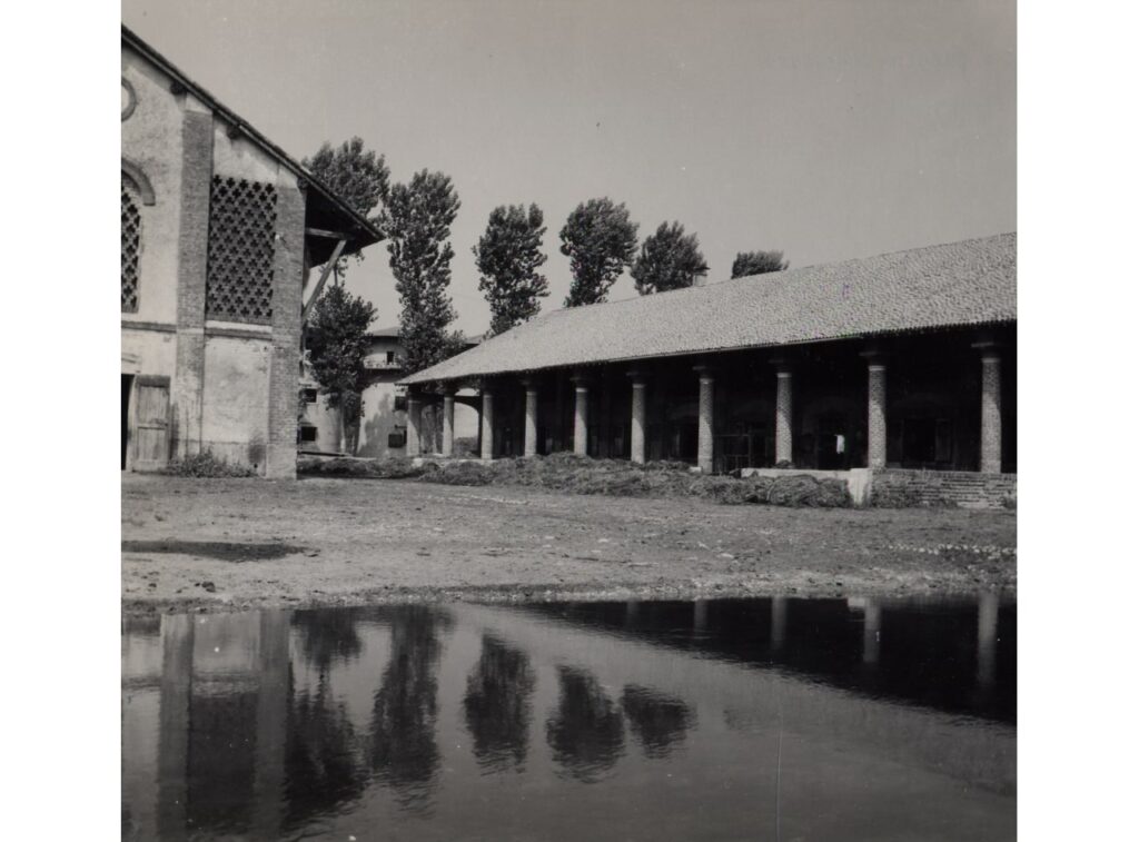 Badile, Stalla allevamento (foto di Carlo Ciocca, 1953)