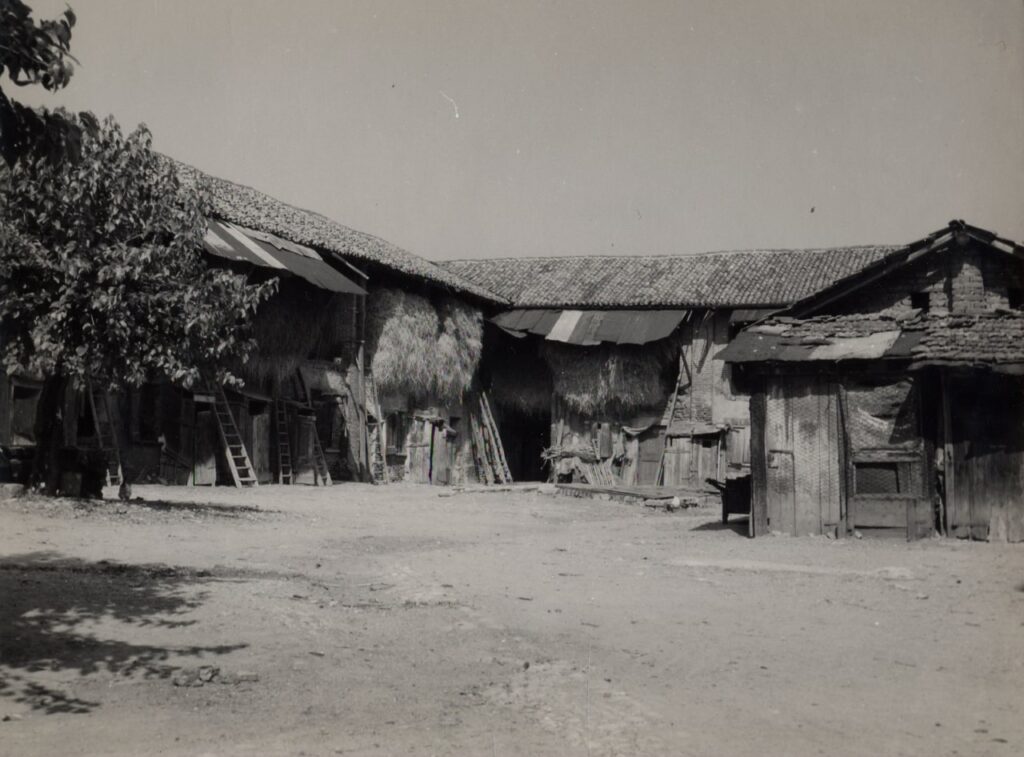 Balsamo, Stallette Corte Viganò (foto di Carlo Ciocca, 1953)