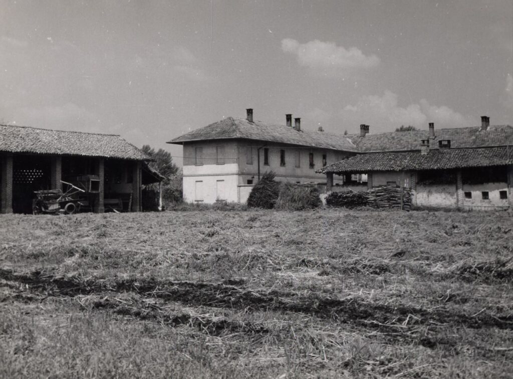 Belvedere, Aia e portici essiccatoio, case coloniche (foto di Carlo Ciocca, 1953)