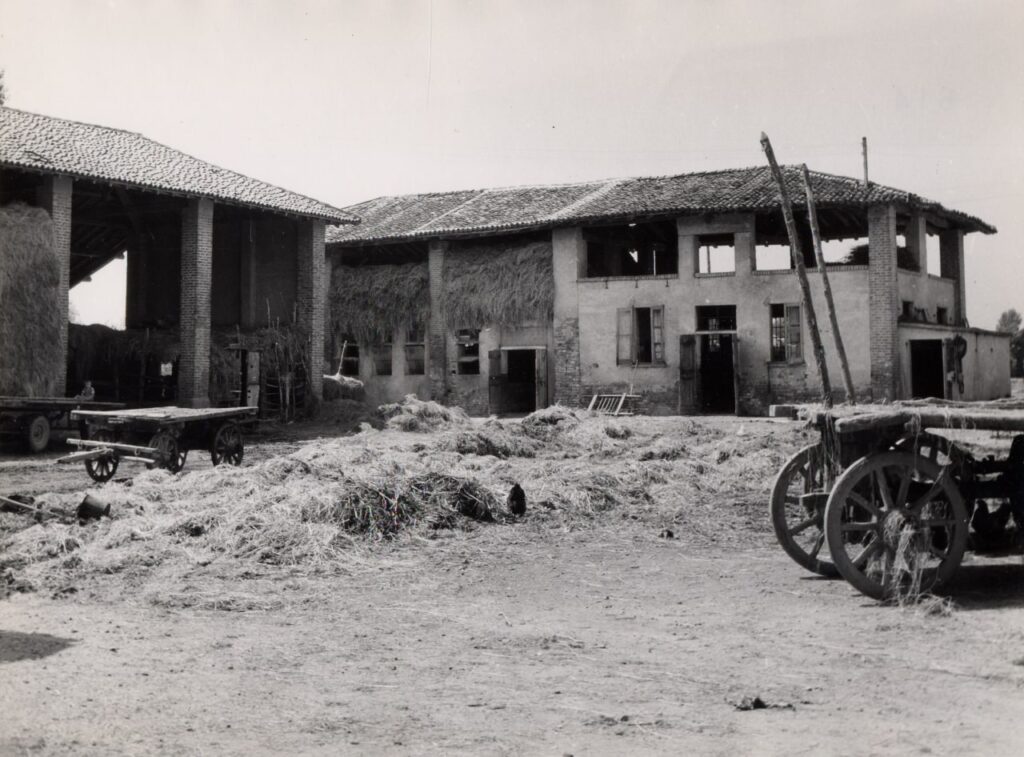 Belvedere, Stallino cavalli e stalletta manze (foto di Carlo Ciocca, 1953)
