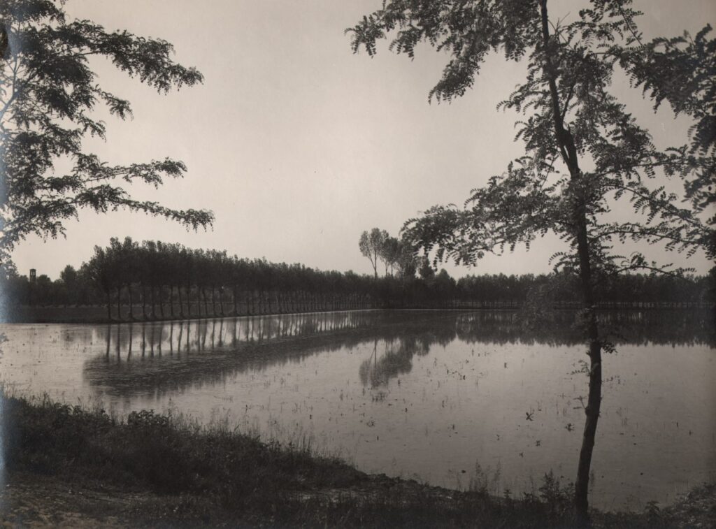 Calvignasco, Risaia (foto di Vincenzo Aragozzini, 1934)