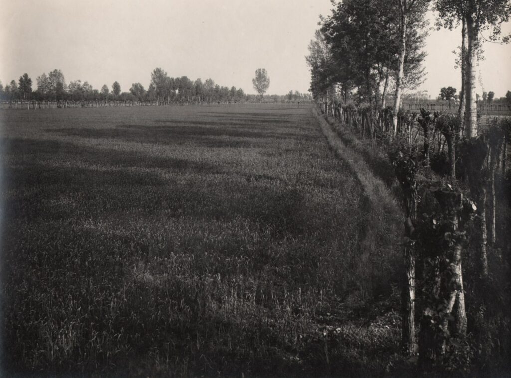 Calvignasco, Campo (foto di Vincenzo Aragozzini, 1934)