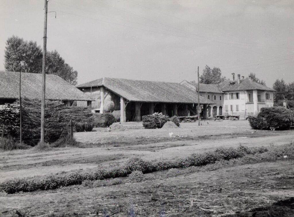Calnago, Stalla buoi e cavalli, casa del fittabile (foto di Carlo Ciocca, 1953)