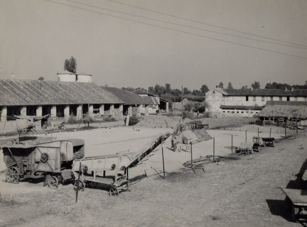 Calnago, Stallone, aia, case coloniche (foto di Carlo Ciocca, 1953)